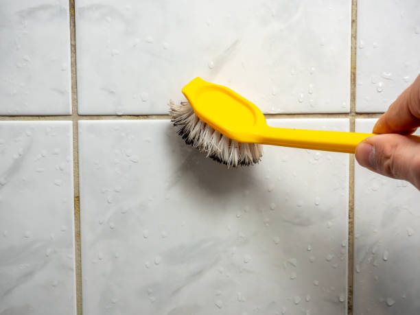 Best DIY Mold Remediation Support Services in South Kensington, MD